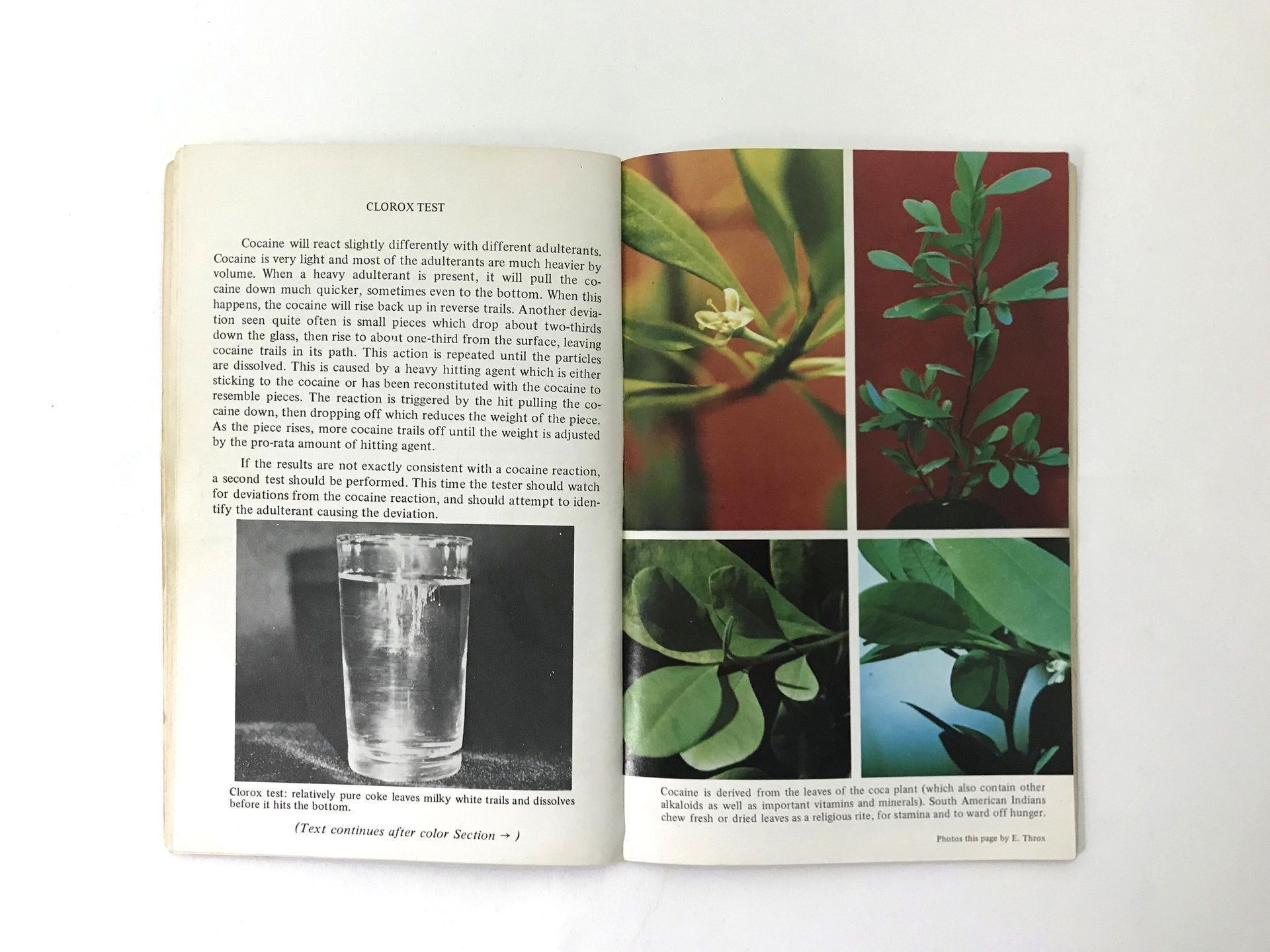 Cocaine Consumer's Handbook