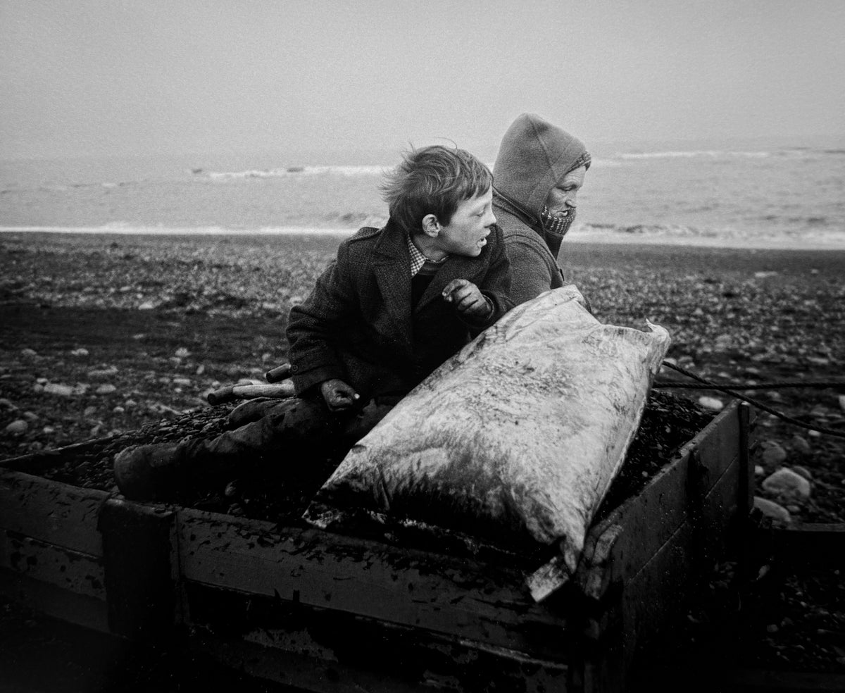 [SIGNED] CHRIS KILLP SEACOAL