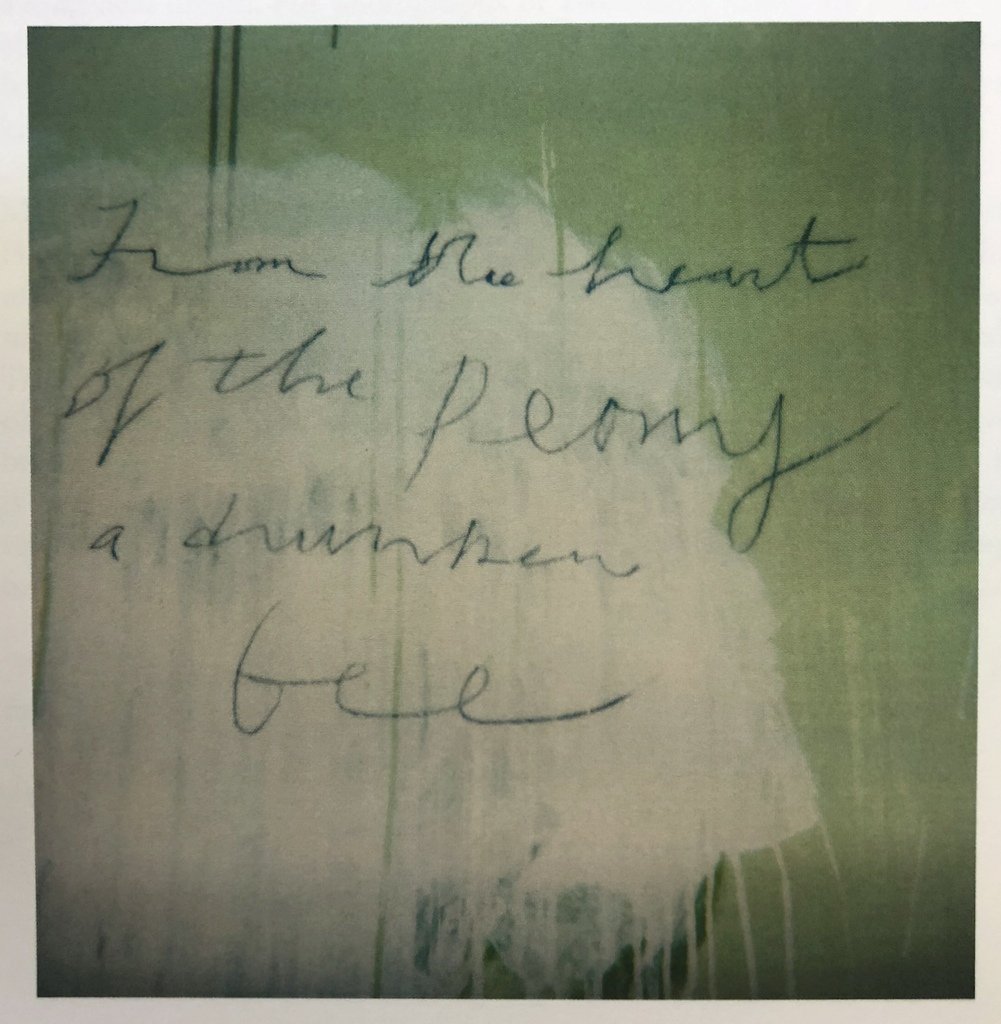 Francois Halard: Polaroïds Italiens