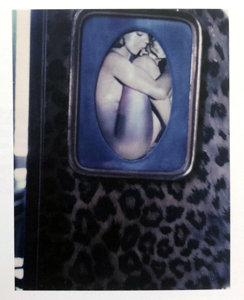 Francois Halard: Polaroïds Italiens