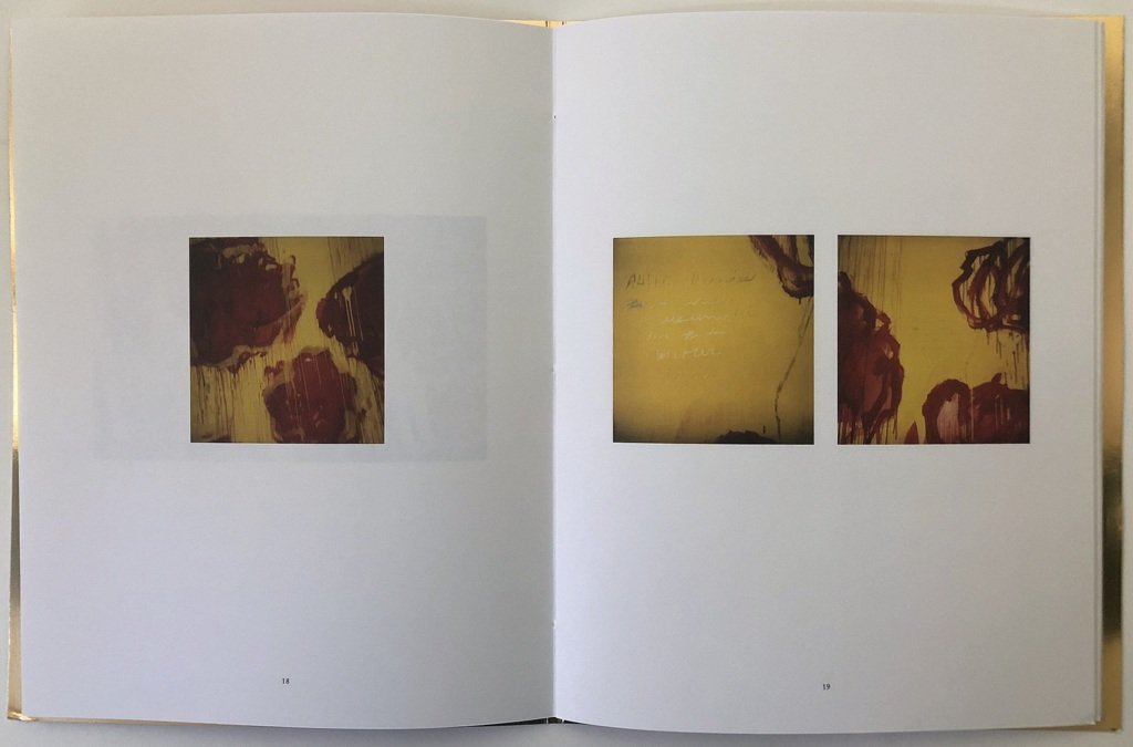 Francois Halard: Polaroïds Italiens