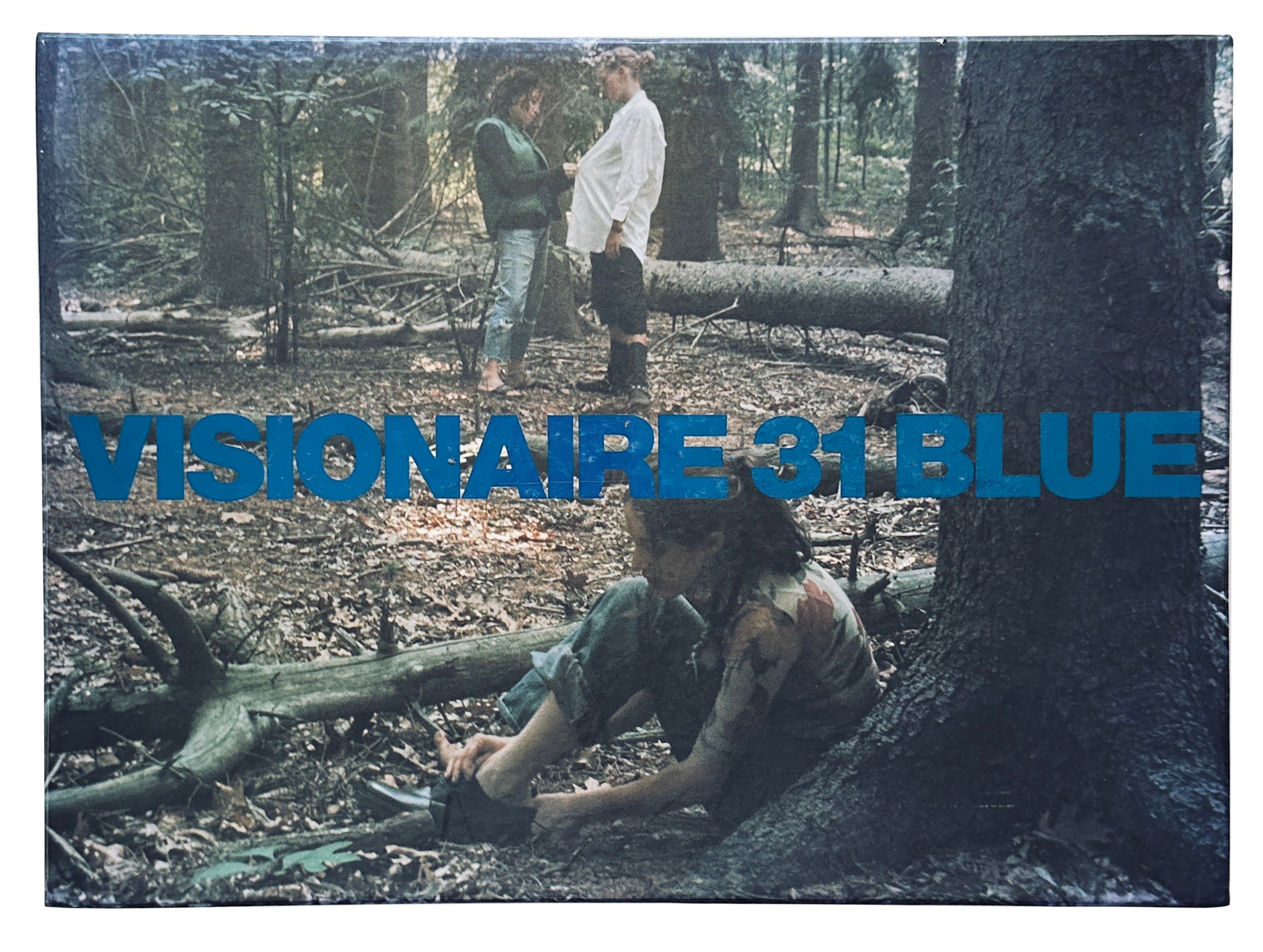 Visionaire 31