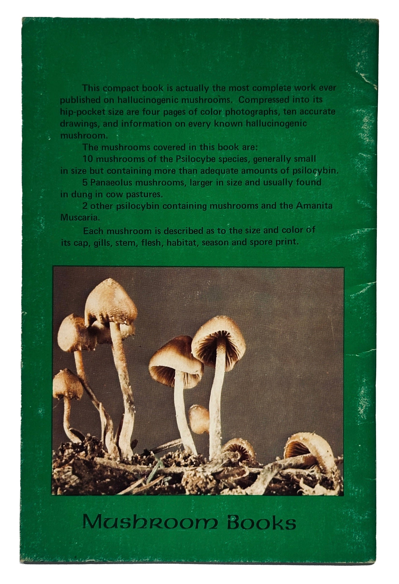 Magickal Mushroom Handbook