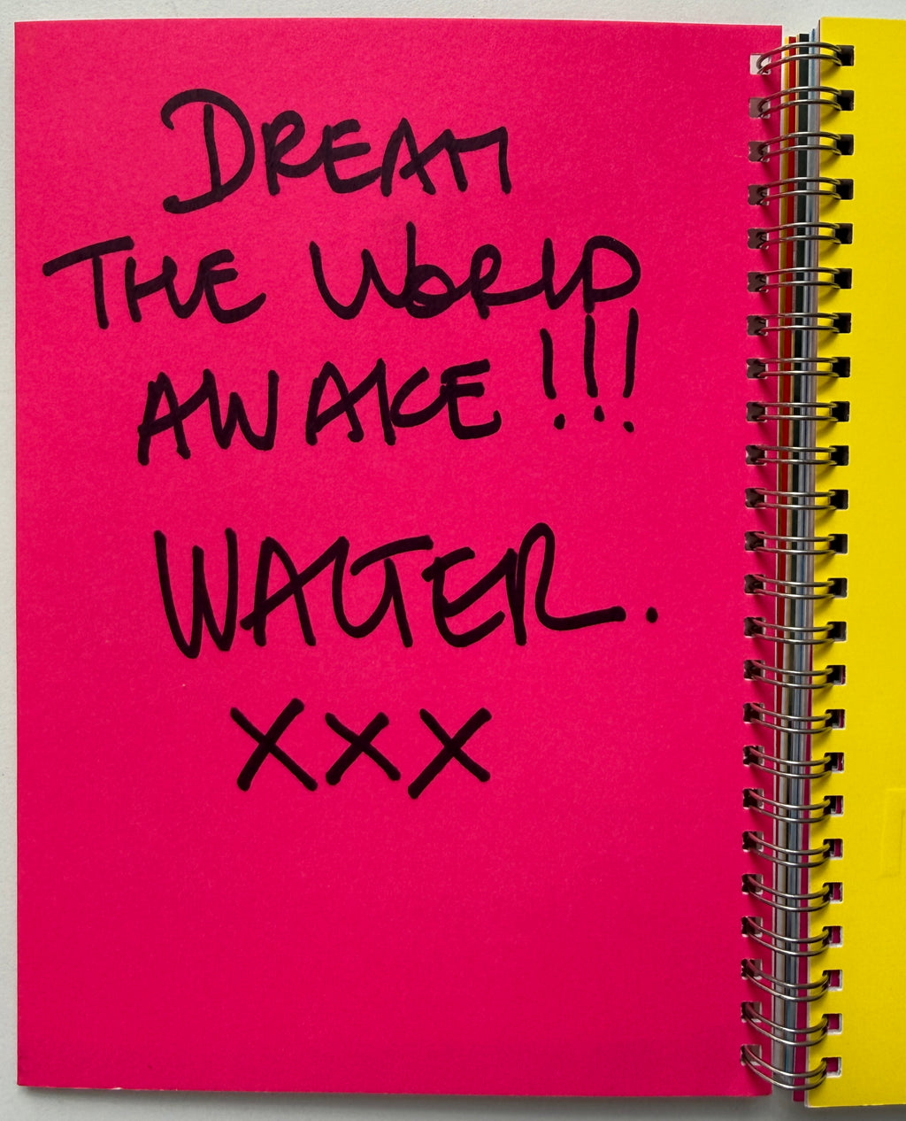 [SIGNED] WALTER VAN BEIRENDONCK MUTILATE