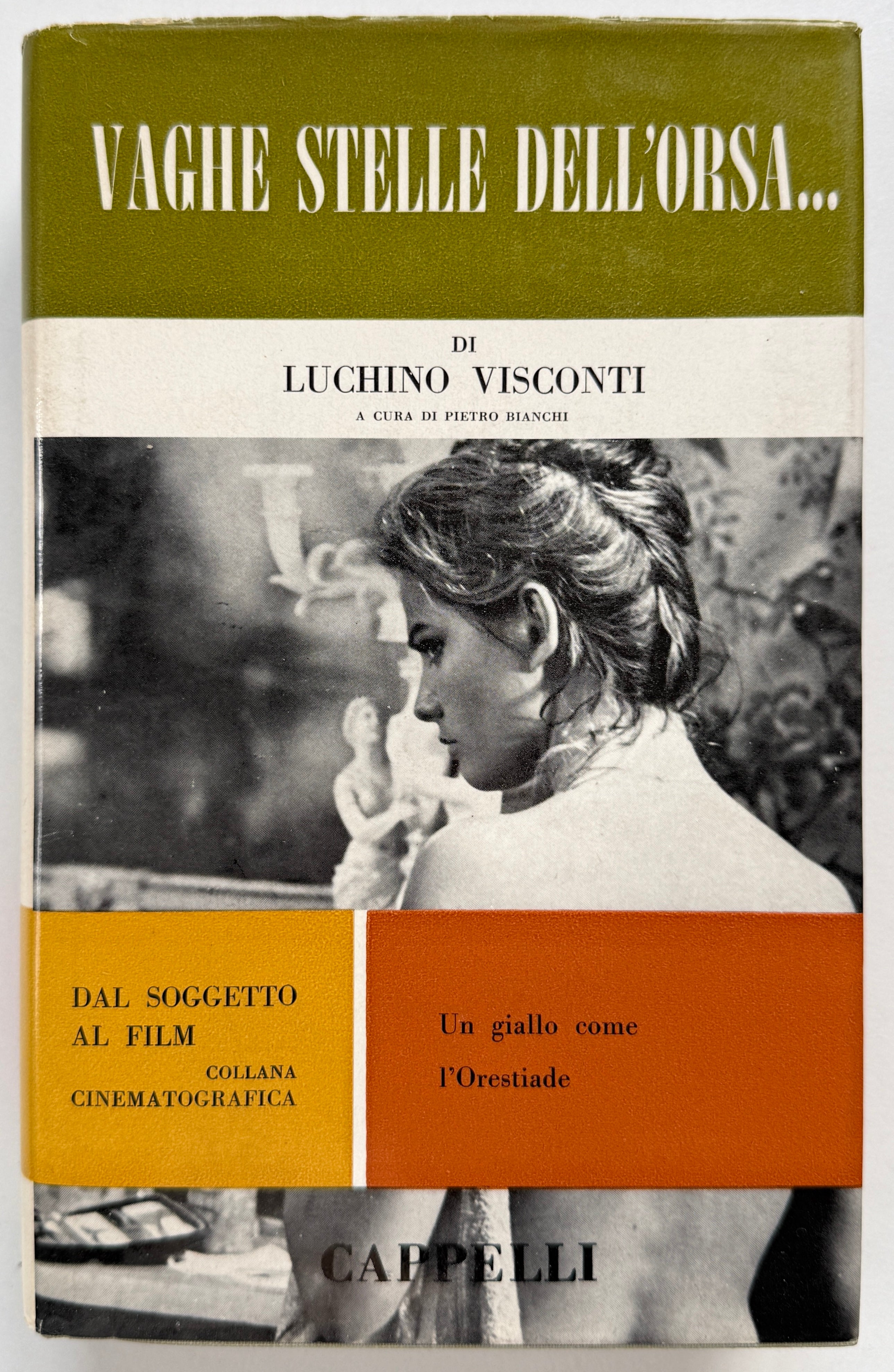 Visconti Vaghe Stelle Dell'Orsa Illustrated Screenplay