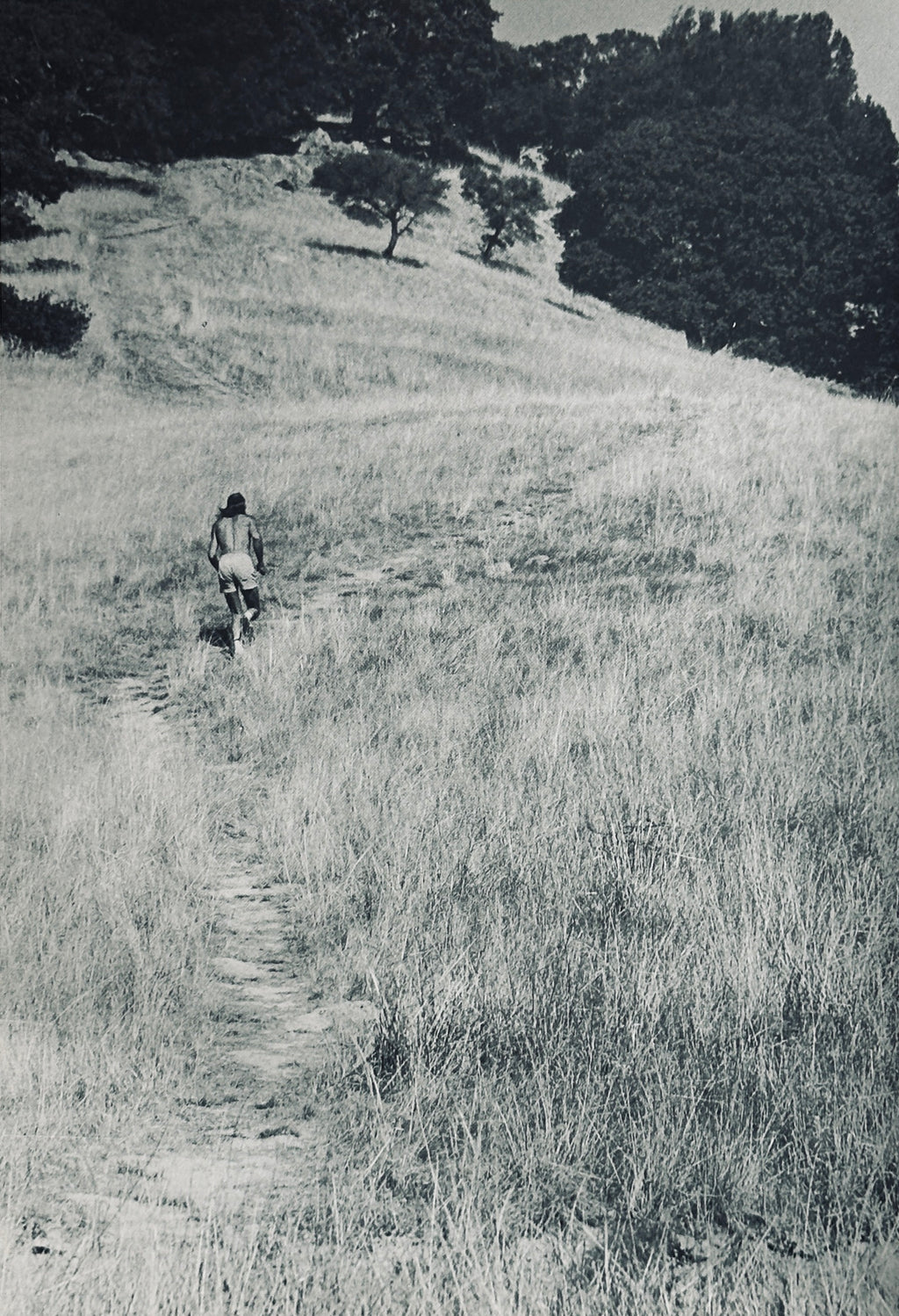 The Zen of Running