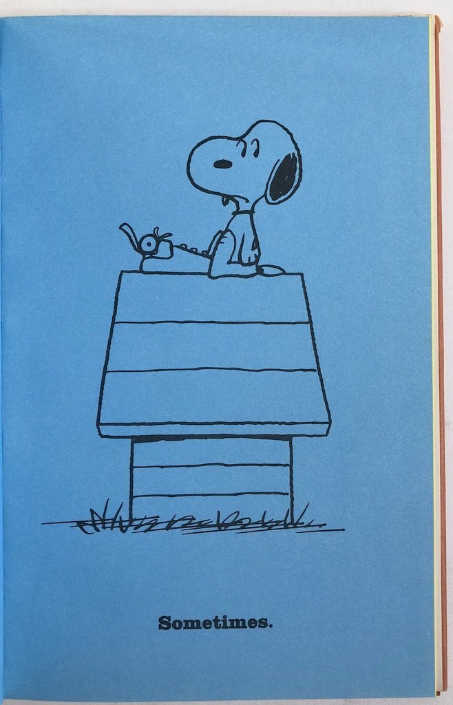Snoopy And It Was A Dark and Stormy Night