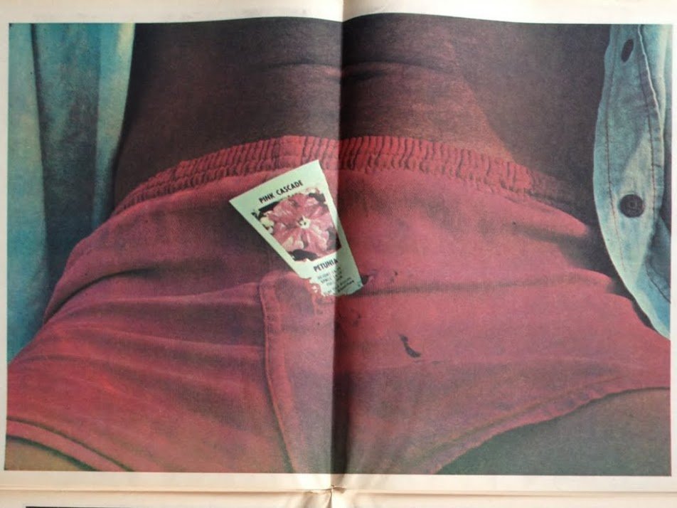 Picture Newspaper 1975