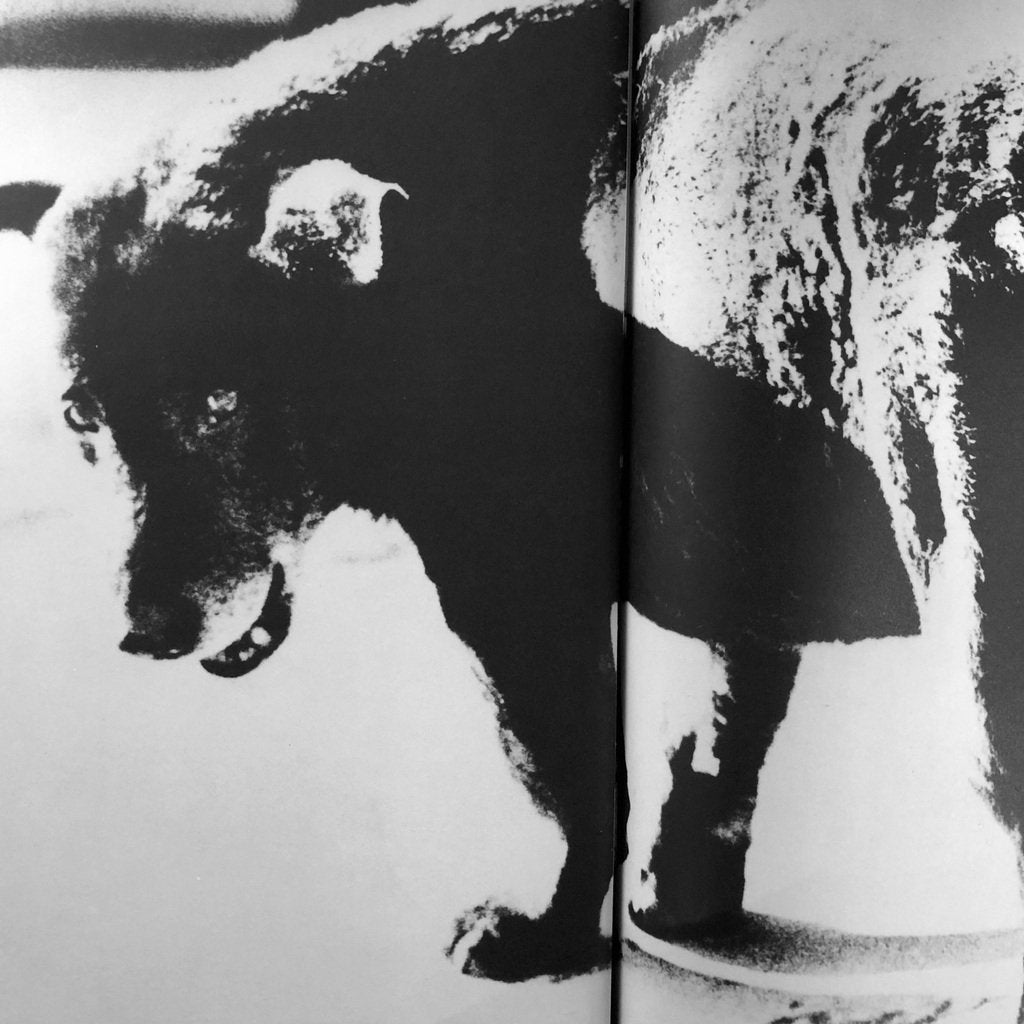 Daido Moriyama Vintage Prints