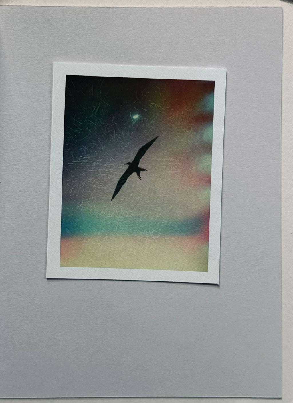 [SIGNED] MARK BORTHWICK BIRD'S SET SUN'S