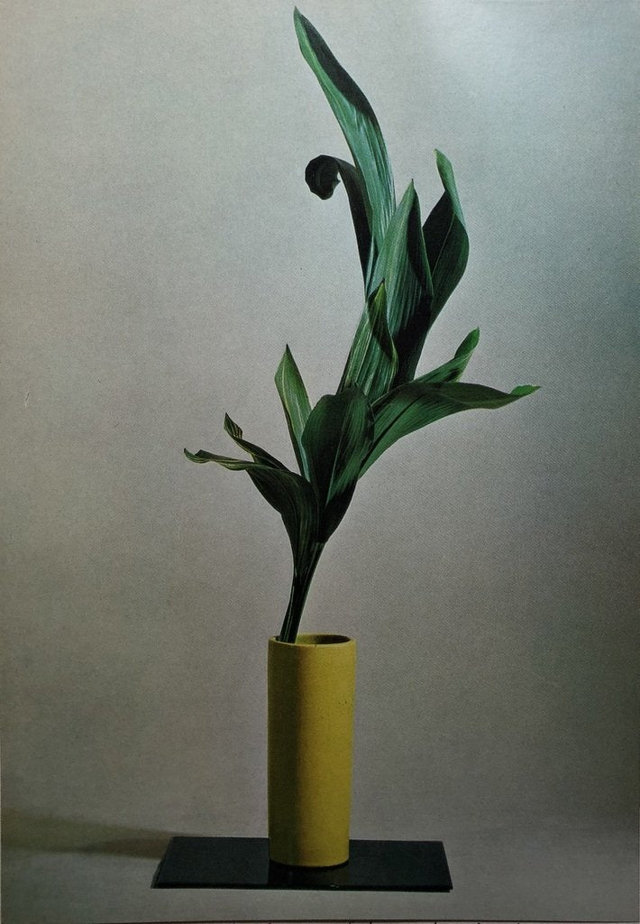 The Masters Book of Ikebana