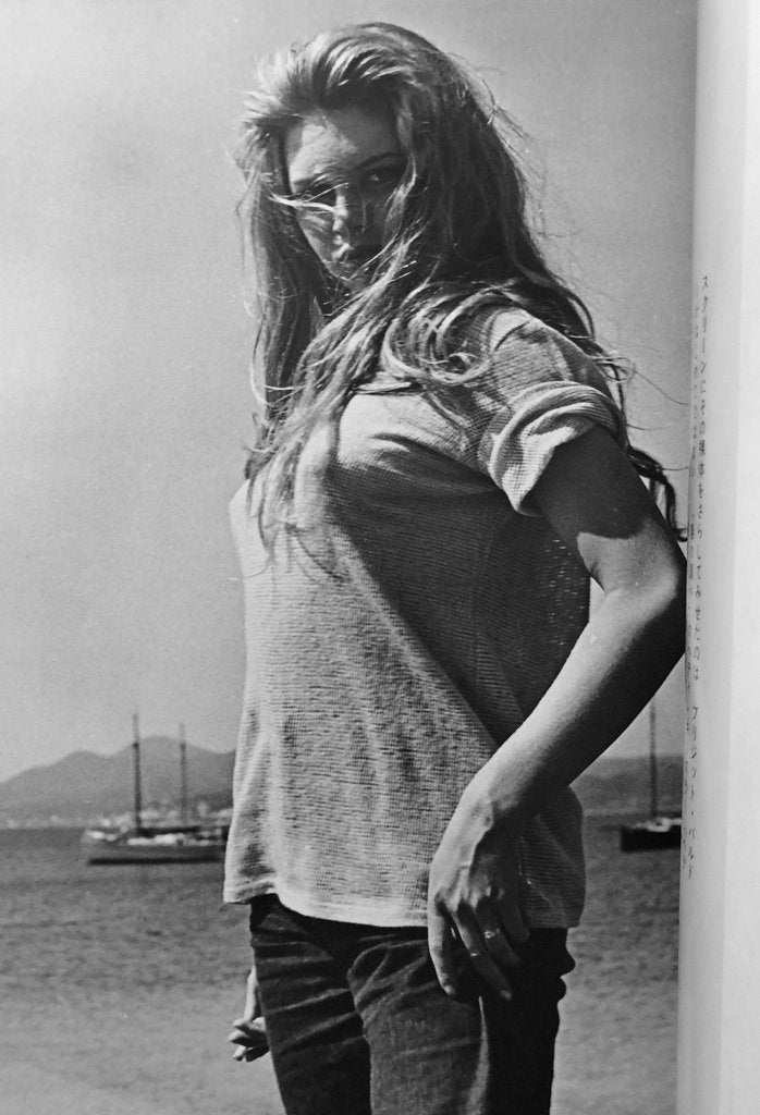 Brigitte Bardot Icon Book