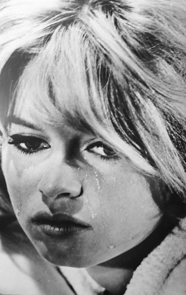 Brigitte Bardot Icon Book