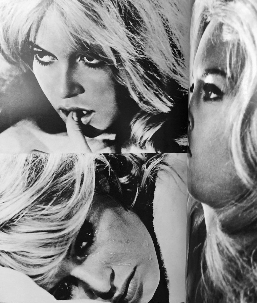 Brigitte Bardot Icon Book