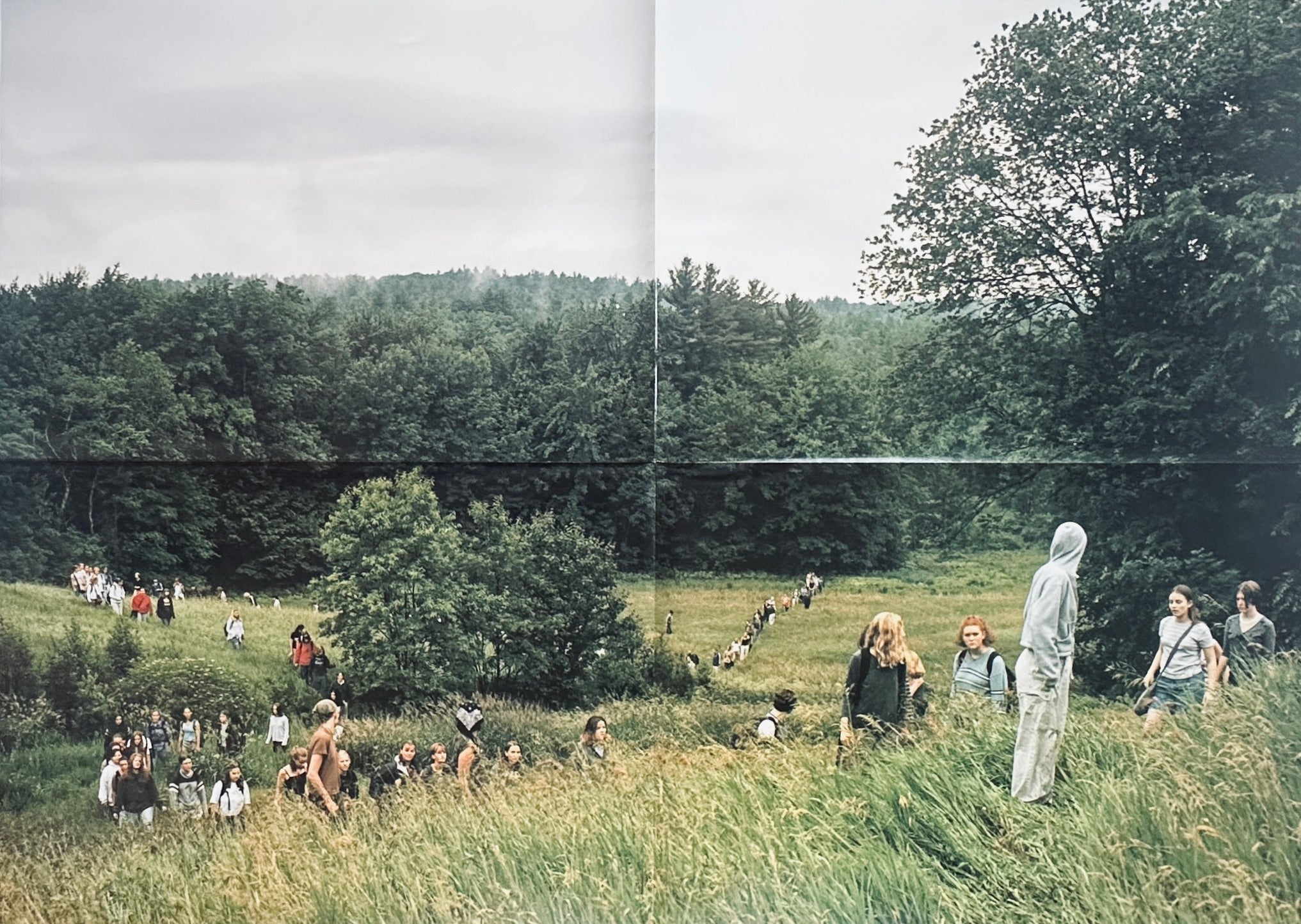 Visionaire 31