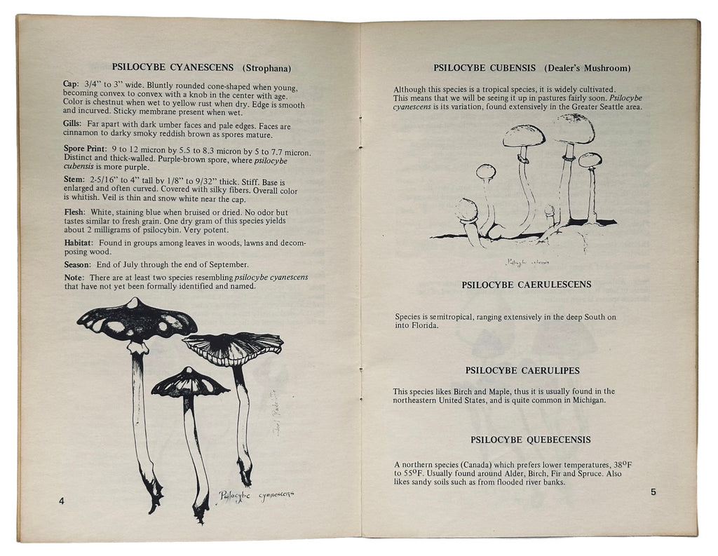 Magickal Mushroom Handbook