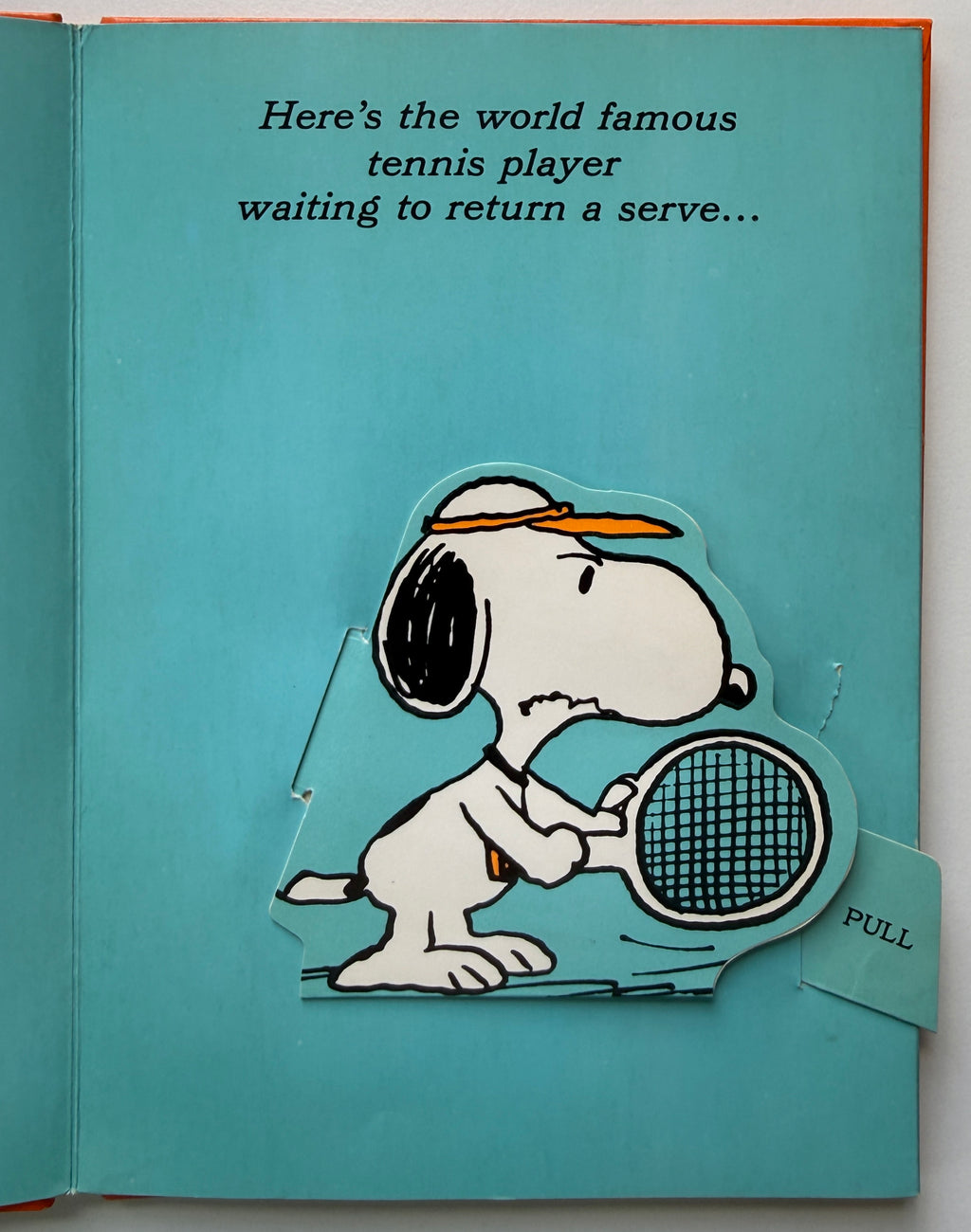 Snoopy's Secret Life
