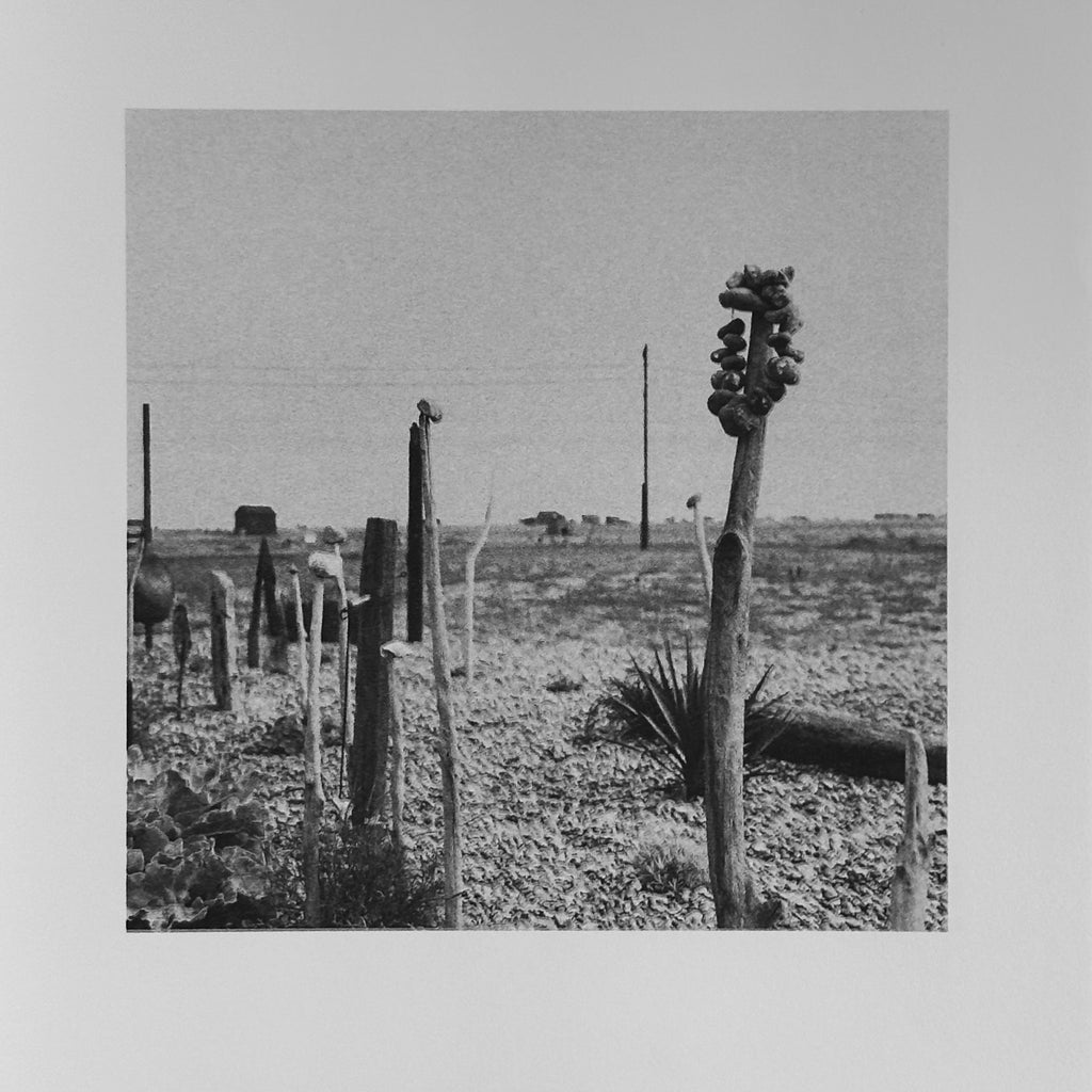 Eden in the shadow of Dungeness Derek Jarman