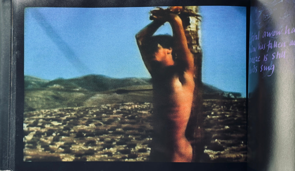 Freeze Frame Derek Jarman