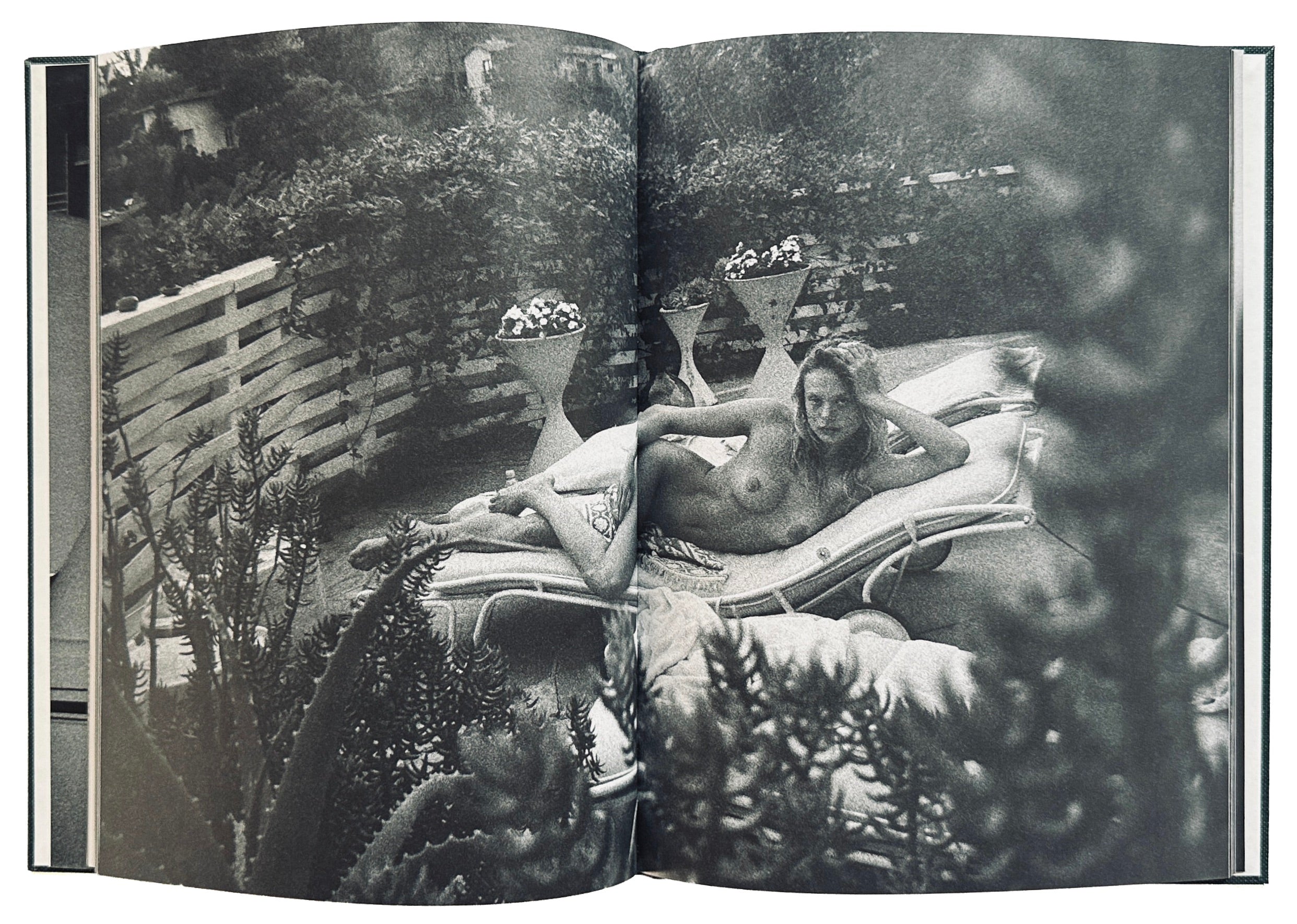 Purienne SL Edition