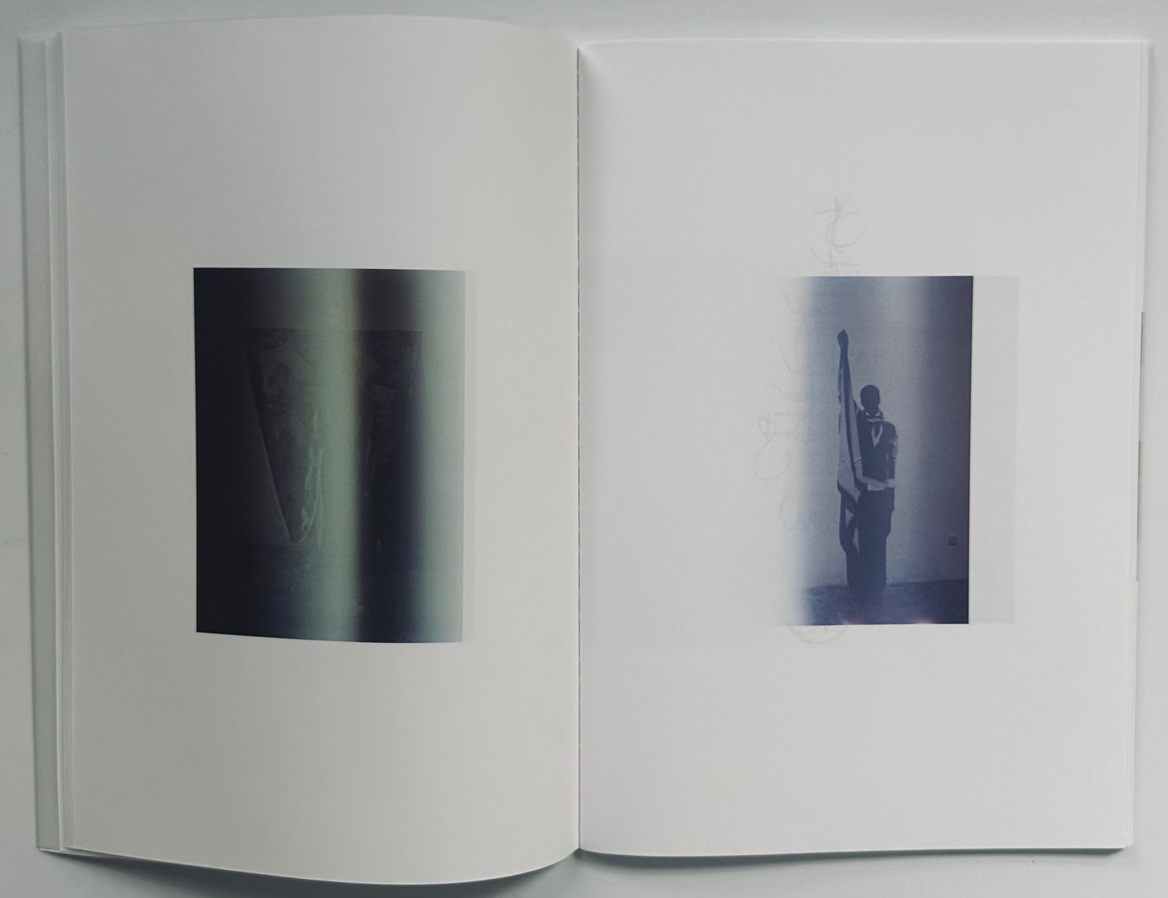 Mark Borthwick Something Out of Nothing Into Everything Issey Miyake