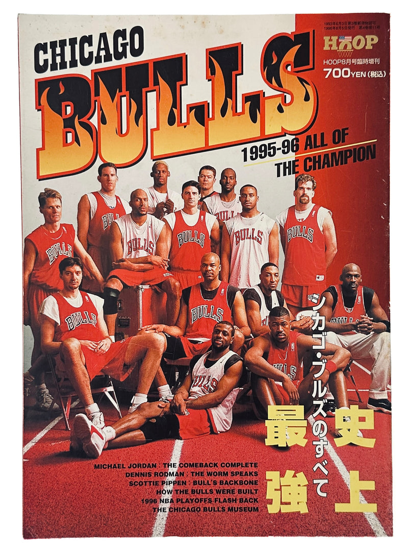 Chicago Bulls All of the Champion