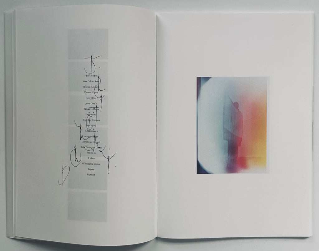 Mark Borthwick Something Out of Nothing Into Everything Issey Miyake