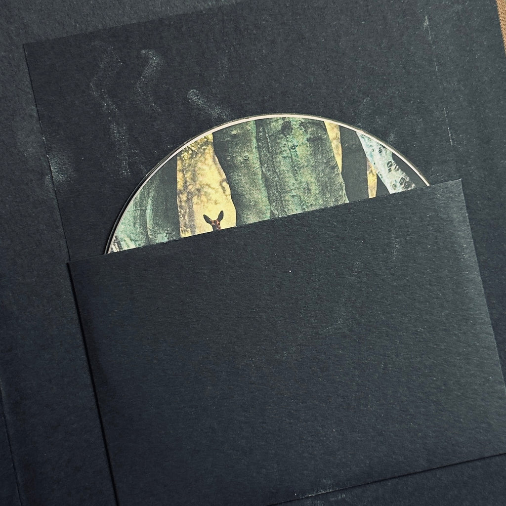 [SIGNED] DAVID SYLVIAN MANAFON