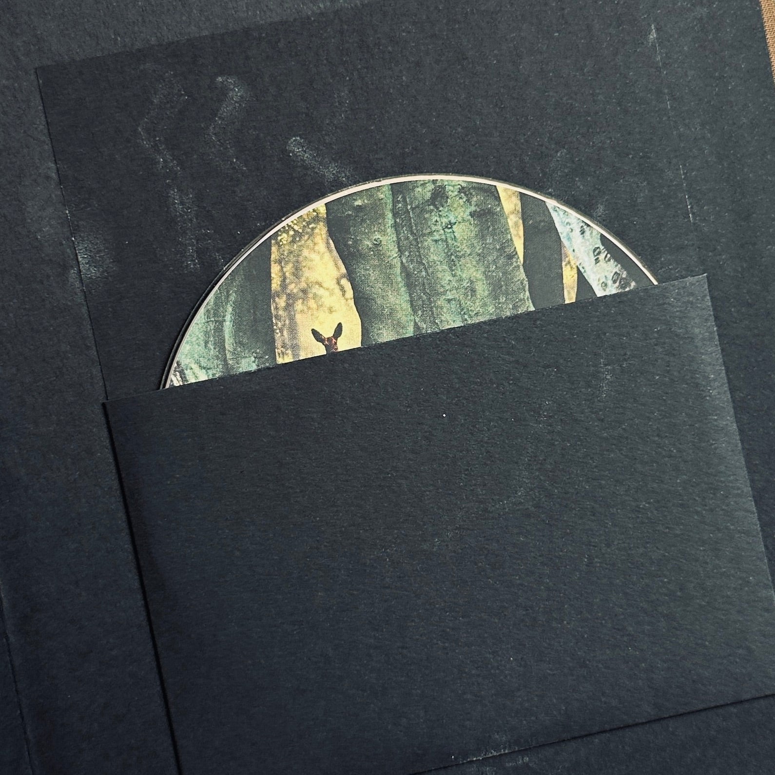 [SIGNED] DAVID SYLVIAN MANAFON