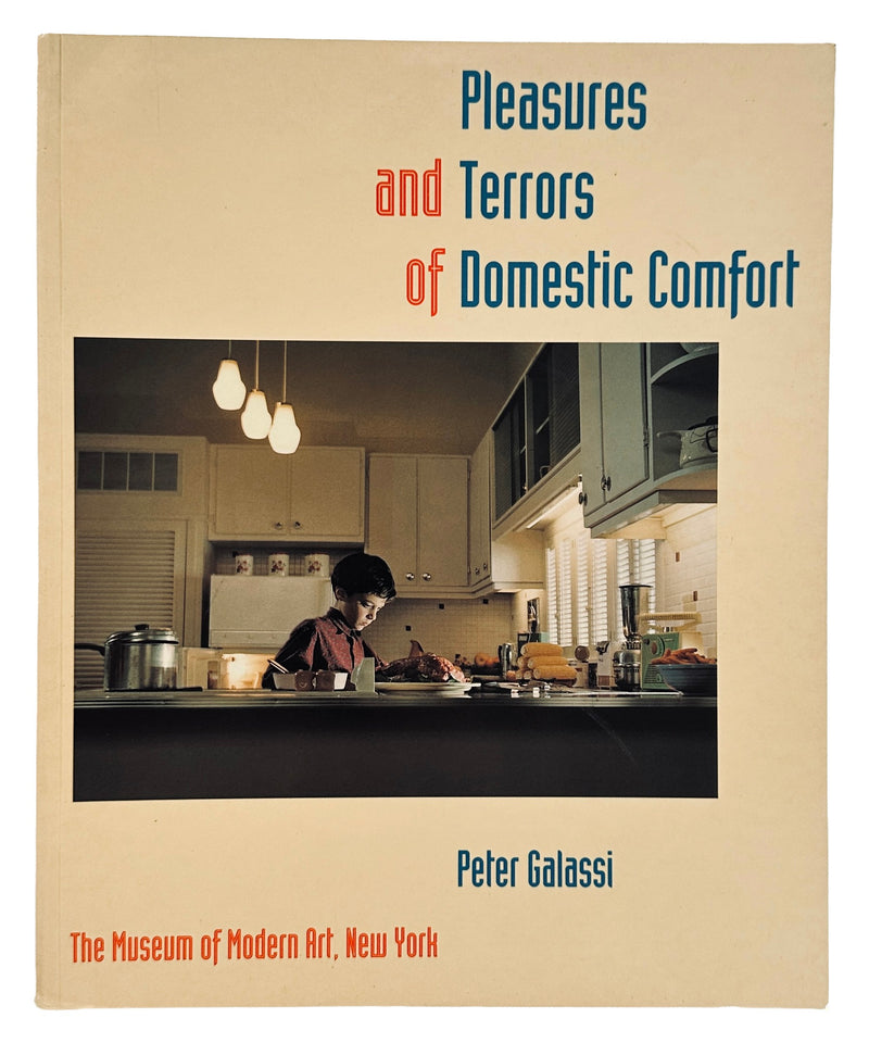 Pleasures and Terrors of Domestic Comfort