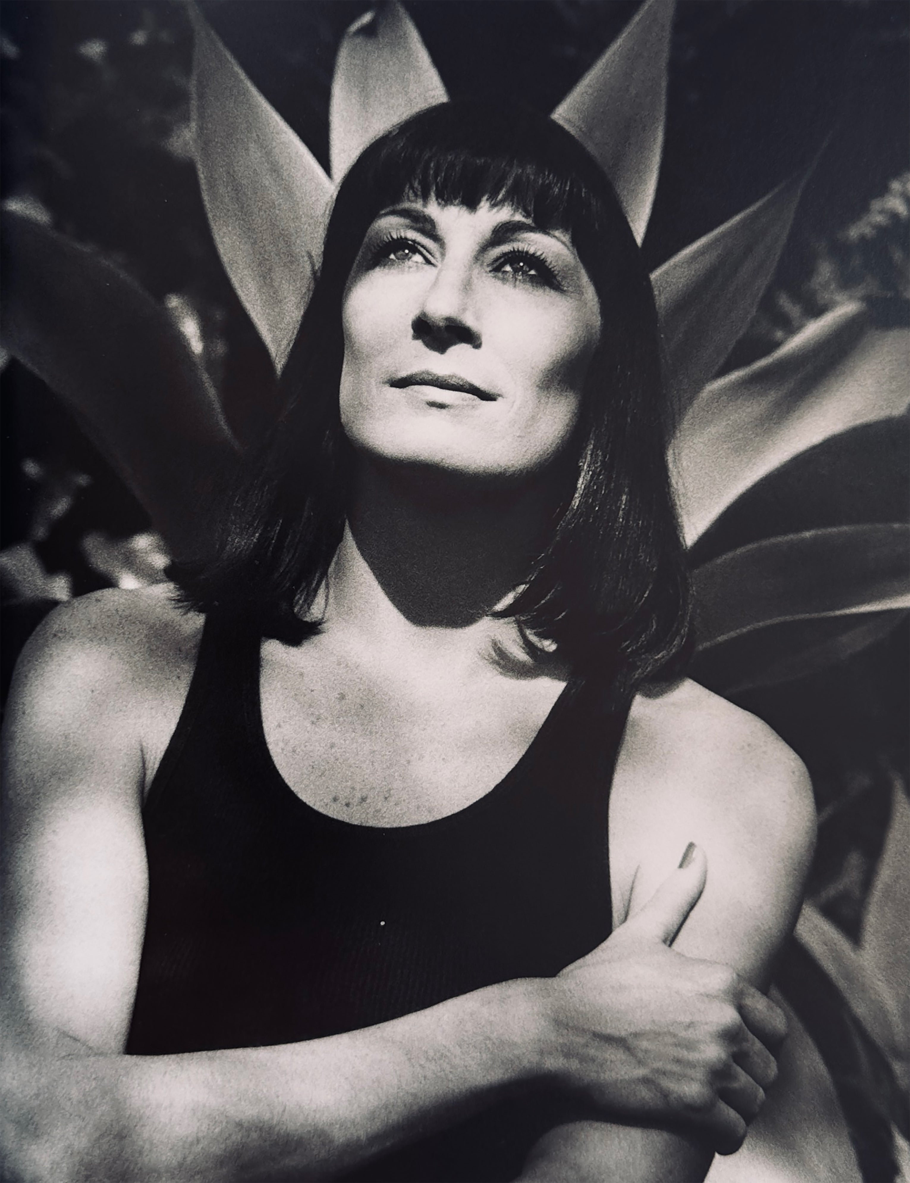 Helmut Newton Newton's Illustrated Complete Edition
