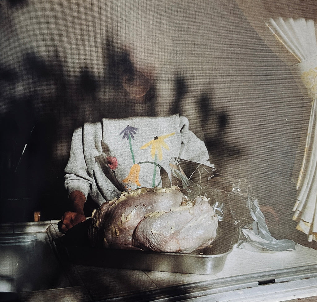 Larry Sultan Pictures from Home