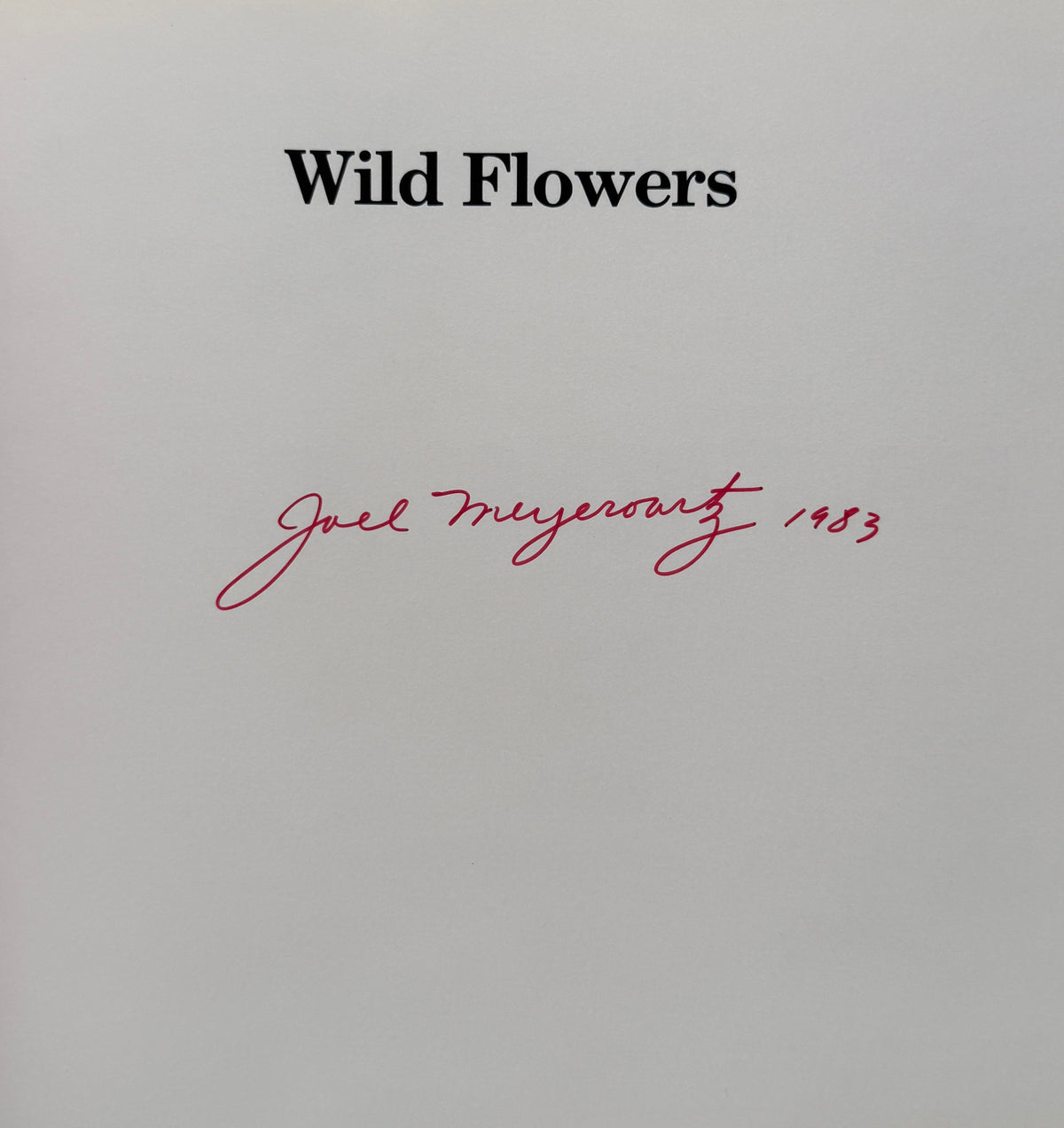 [SIGNED] JOEL MEYEROWITZ WILD FLOWERS