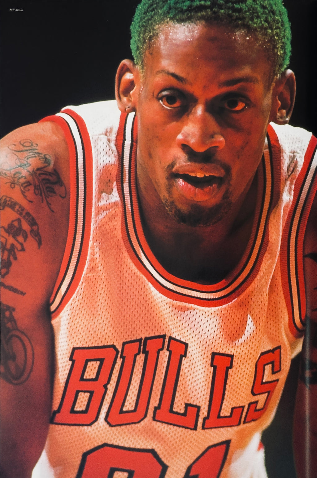 Chicago Bulls All of the Champion
