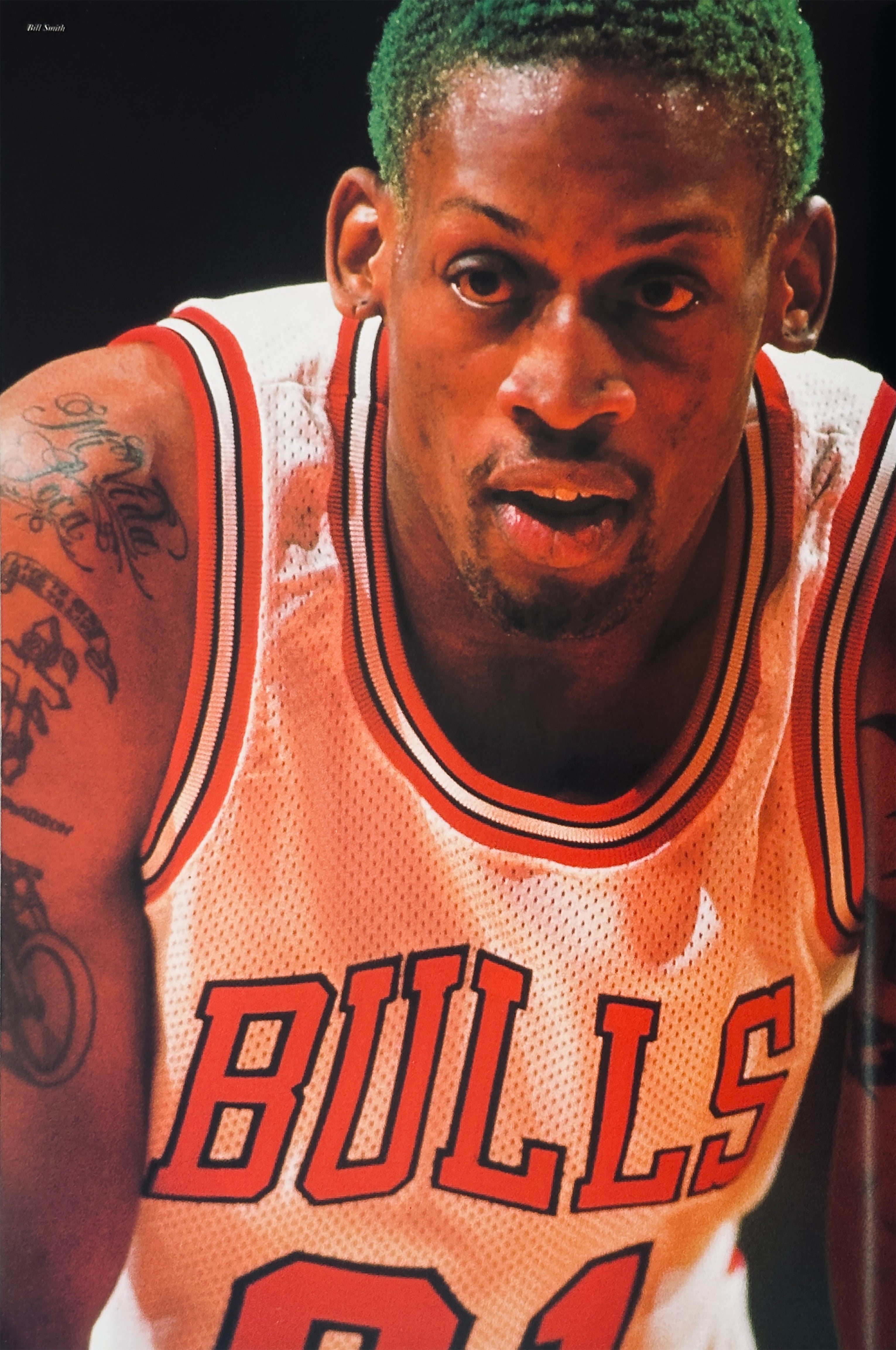 Chicago Bulls All of the Champion