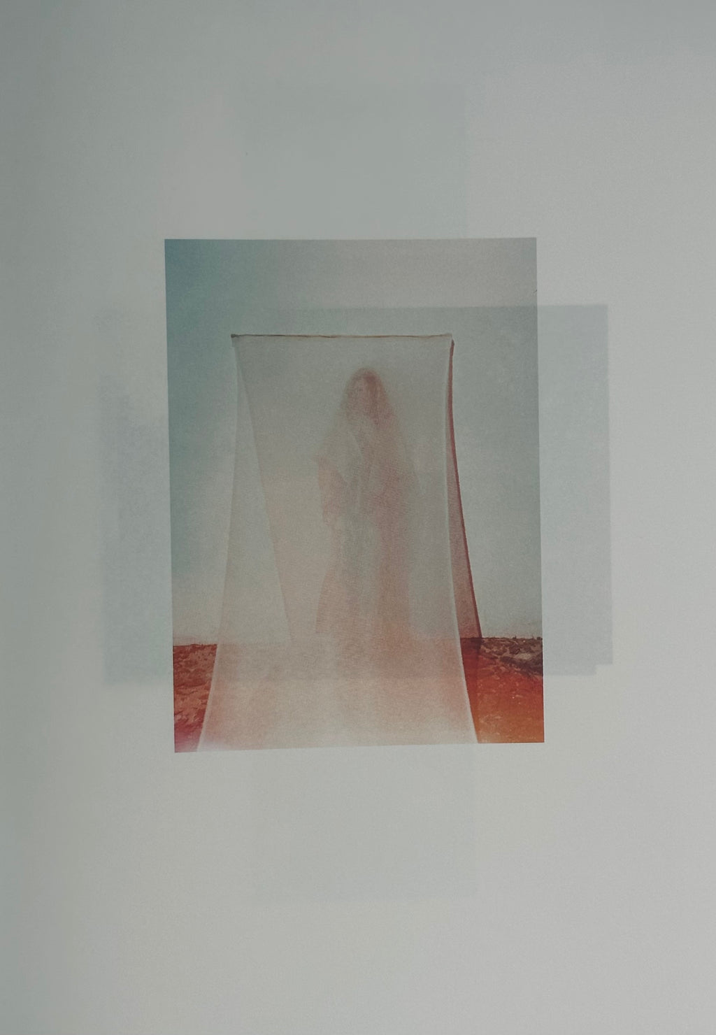 Mark Borthwick Something Out of Nothing Into Everything Issey Miyake