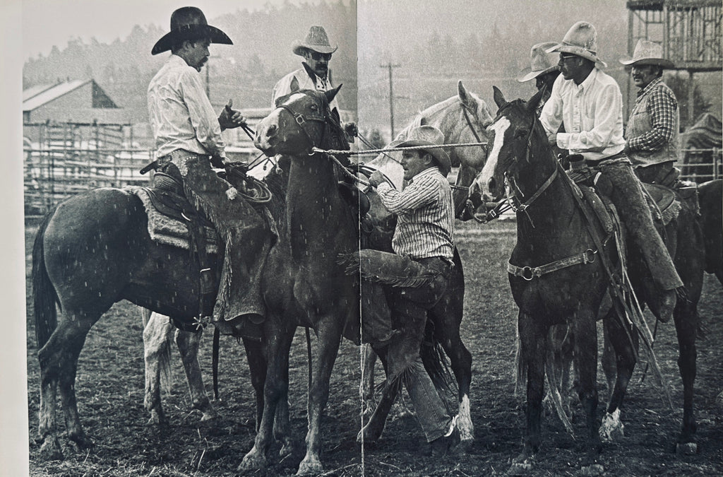 Rodeo
