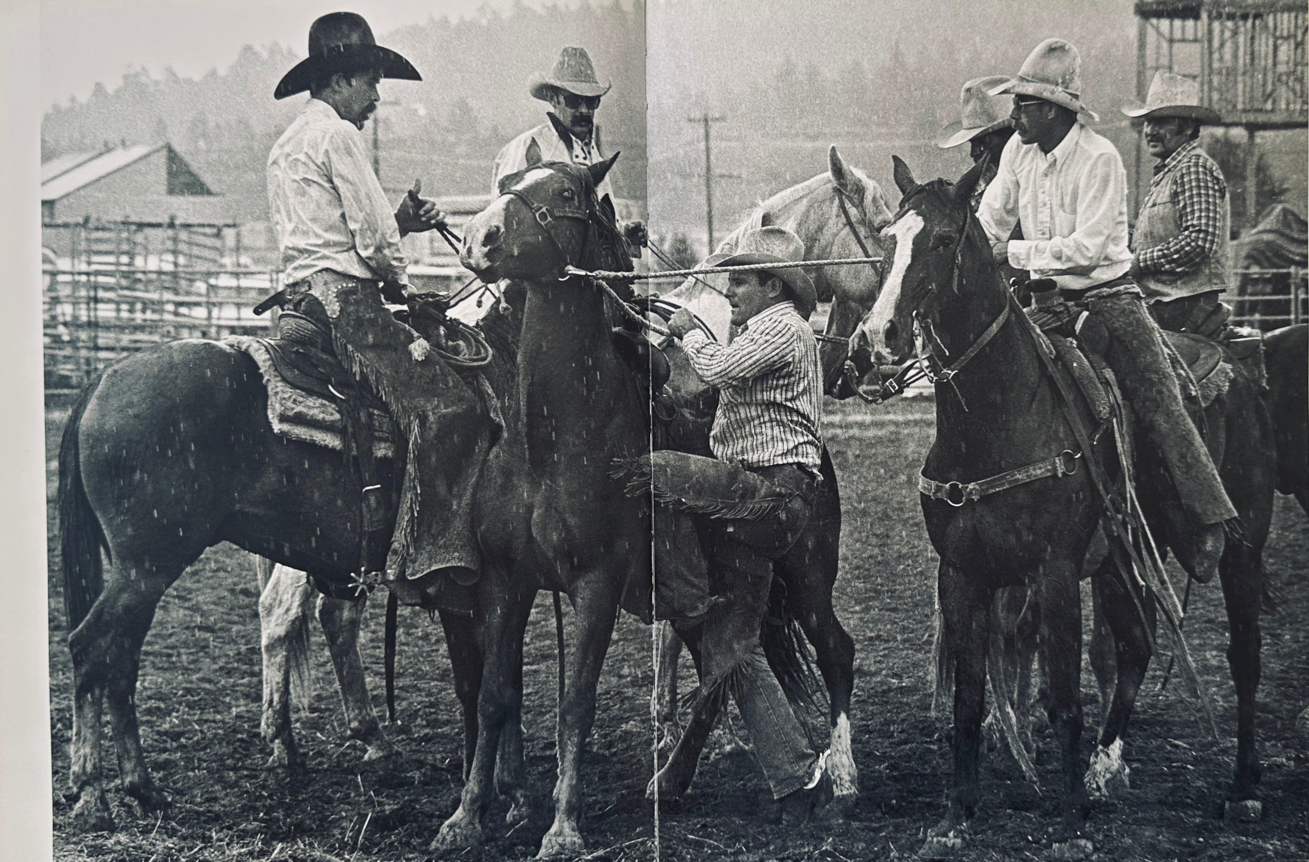 Rodeo