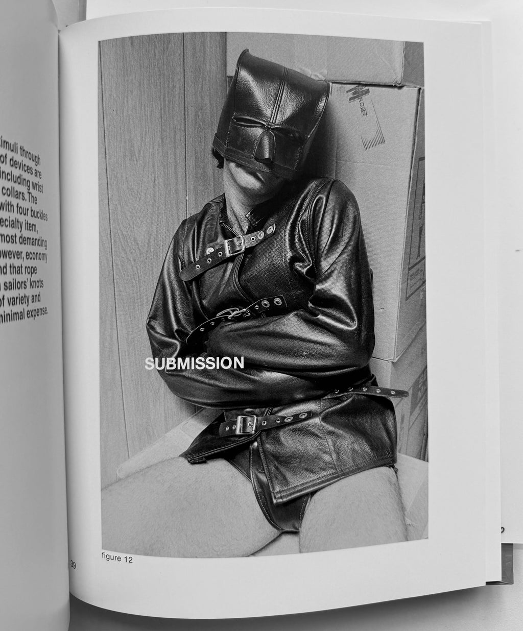 Gay Semiotics Deluxe with Print